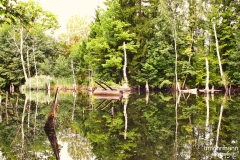 Pleistalwerk